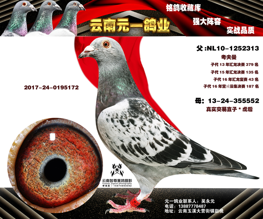 10-2017-24-0195172副本.jpg